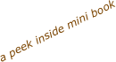 a peek inside mini book
