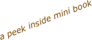 a peek inside mini book