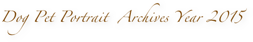 Dog Pet Portrait  Archives Year 2015