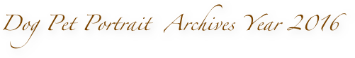 Dog Pet Portrait  Archives Year 2016