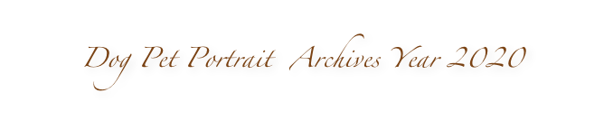 Dog Pet Portrait  Archives Year 2020