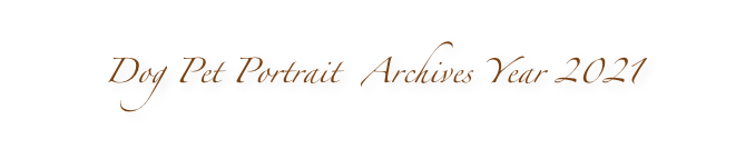 Dog Pet Portrait  Archives Year 2021