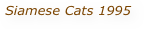 Siamese Cats 1995 