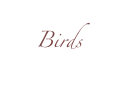 Birds