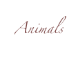 Animals