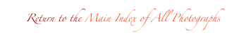 Return to the Main Index of All Photographs 