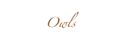 Owls