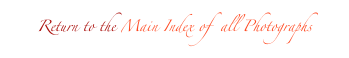 Return to the Main Index of  all Photographs 