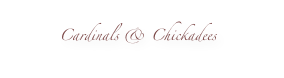 Cardinals & Chickadees