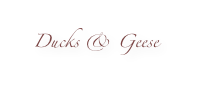 Ducks & Geese
