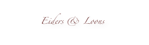 Eiders & Loons