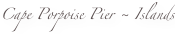 shapeimage_4_link_0