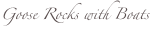 shapeimage_3_link_0