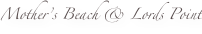 shapeimage_4_link_0